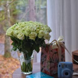 Дачи (первая линия)