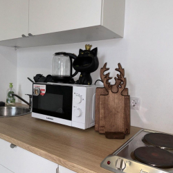 2-местные апартаменты студия