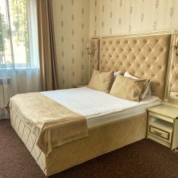 Комната люкс с 1 двуспальной кроватью