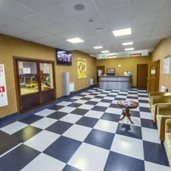 Фото Отель Авшар-Клуб