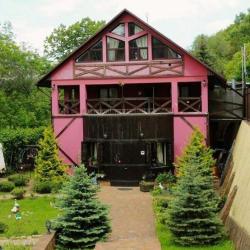 Фото Отель Золотой Гусь