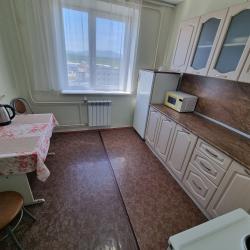 Фото Апартаменты на проспекте Мира 28