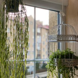 Фото Отель Salve (Сальвэ)