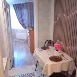 Фото Апартаменты на улице Курыжова 14