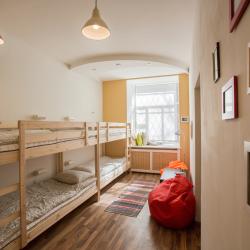 Пихта — b9533058ac005075915d5d0a31a3b82e