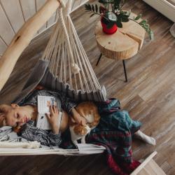 Фото Отель Лиса в шалаше