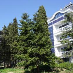 Усадьба Приморский парк — b9748fab99f8cb7ebdc2c904682c7bf2