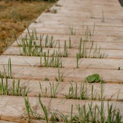 Фото Отель А-Шалаш Черноречье