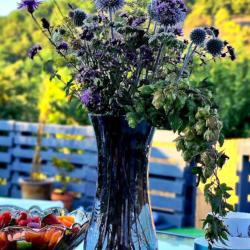 Фото Отель Берлога