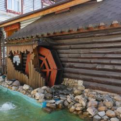 Фото Отель Серая лошадь