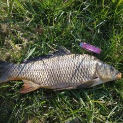 Фото Отель Celinburg (Целинбург)