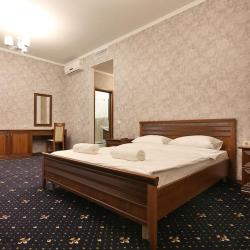 Фото Отель Аустерия