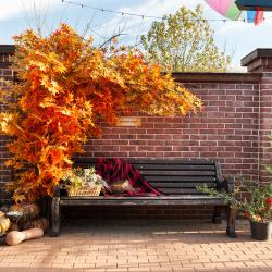 Фото Отель ПарБезПар