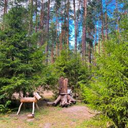Фото Отель Черепашьи озёра