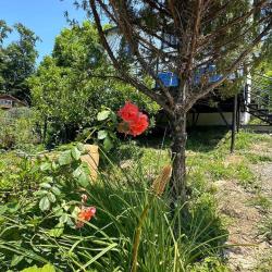 Фото Отель Дом на улице Дорога на большой Ахун