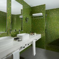 Domina Hotel Novosibirsk (Домина Новосибирск) — b9f8f3e9588dedb5d0645f39d960ce9a