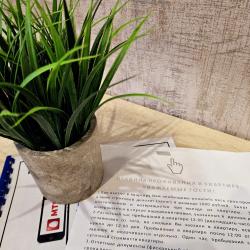 Фото Отель Квартирное бюро 27 на улице Шеронова