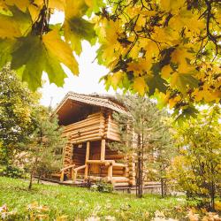 Фото Отель Ярославна