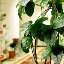 Фото Отель Старый Замок