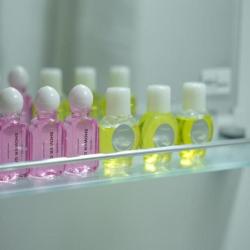 Фото Отель Lotus Hotel (Лотус)