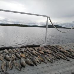 Фото Отель Огни Имандры