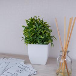 1-комнатные апартаменты улучшенные