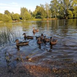 Фото Отель Гостевой дом Брейтово