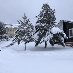 Фото Отель Лежневская Лагуна