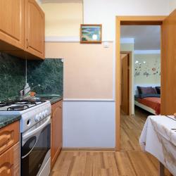 Фото Отель Comfort Homes (Комфорт Хоумс) на улице Малая Пироговская 23
