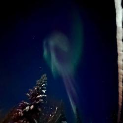 Фото Отель Лапландия