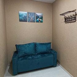 Фото Апартаменты на улице Ивана Сусанина, 41