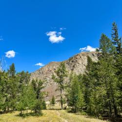 Фото Отель Софийская поляна