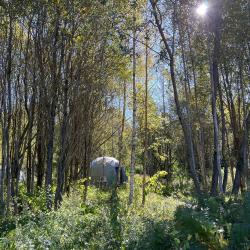 Фото Отель Озеро Ле
