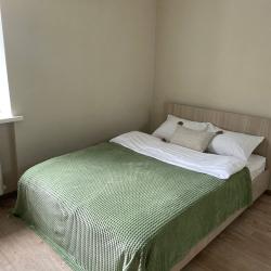 Фото Апартаменты на улице Ленина, 318/2