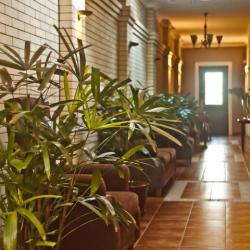 Фото Отель Династия