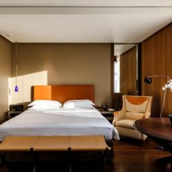 Ararat Park Hotel Moscow (Арарат Парк Хаятт Москва) — badd9e664c645939295ad0c647827d11