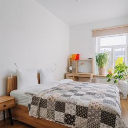 Фото Отель Sergeew Apartments на 4-й линии ВО 19