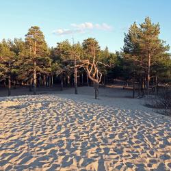 Фото Отель SeveRent (СевеРент) на улице Макаренко