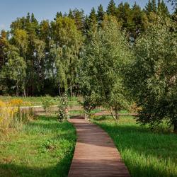 Фото Отель Ива Спа