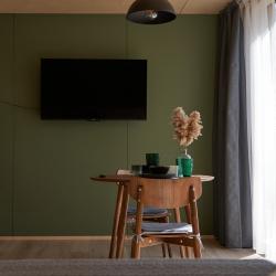 Фото Отель Снежные Гуси