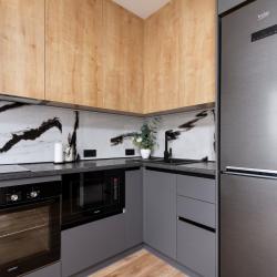 1-комнатные апартаменты люкс Новосибирск, Красный проспект д.200/7
