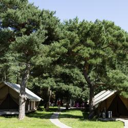 Фото Отель Малина