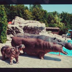 Фото Отель Aquapark Hotel & Villas