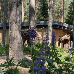 Фото Отель Курорт Большое Борково