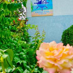 Фото Отель Южные ночи