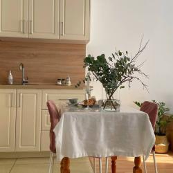 1-комнатные апартаменты студия