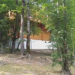 Фото Отель Дома в лесу