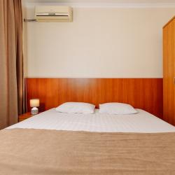 2-местный номер стандарт с 1 двуспальной кроватью