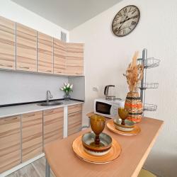 1-комнатные апартаменты студия