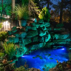 Фото Отель Лотос